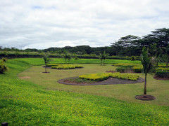 [Sculpted Shrubs in Train-Turnaround]