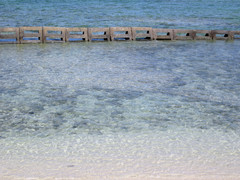 [Beach, Kualoa Regional Park]