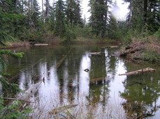 [Lake at the Halfway Point (We had lunch here)]