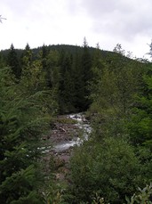 [More of the Sandy River]