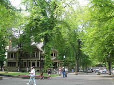 [Alumni building and moss-covered tree]