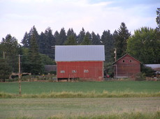 [Barn]