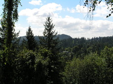 [Hills between Portland and Tualatin]